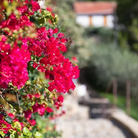 La Sterlizia Di Santa Croce Resort Alassio