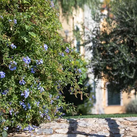 La Sterlizia Di Santa Croce