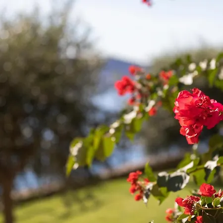 Resort La Sterlizia Di Santa Croce 3*