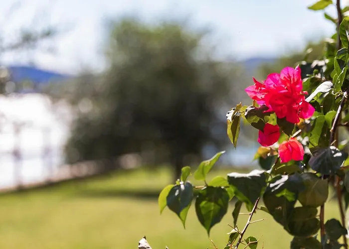 Курортний комплекс La Sterlizia Di Santa Croce