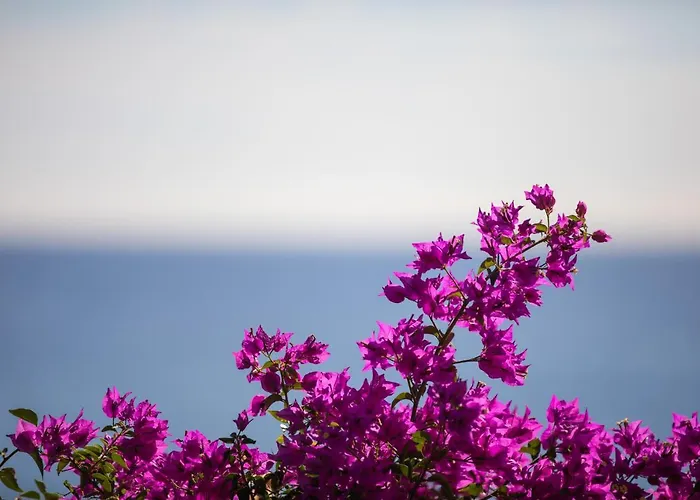 La Sterlizia Di Santa Croce Курортний комплекс