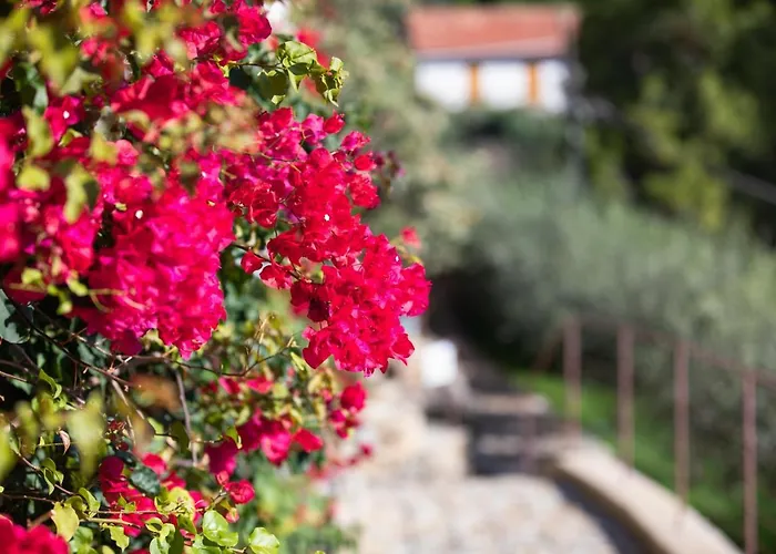 La Sterlizia Di Santa Croce Курортний комплекс Алассіо