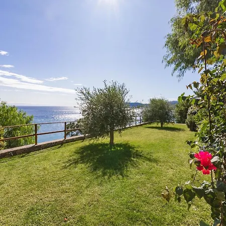 La Sterlizia Di Santa Croce Alassio