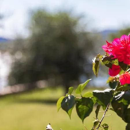 Resort La Sterlizia Di Santa Croce