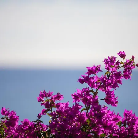 La Sterlizia Di Santa Croce Resort