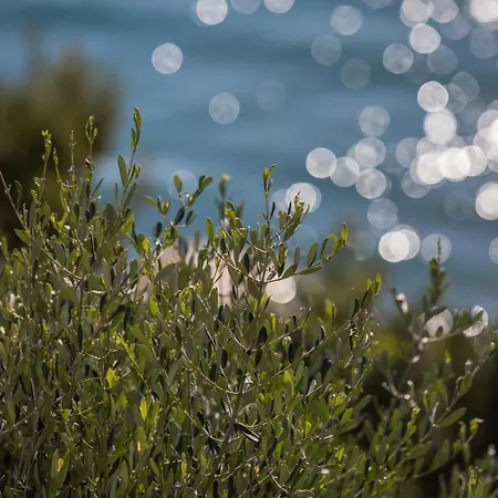 La Sterlizia Di Santa Croce Resort