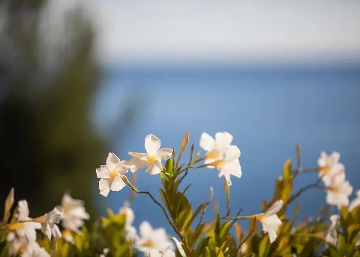 La Sterlizia Di Santa Croce Üdülőközpont Alassio