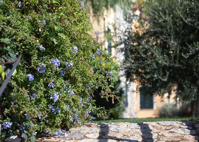 La Sterlizia Di Santa Croce