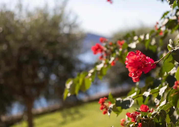 Θέρετρο La Sterlizia Di Santa Croce 3*