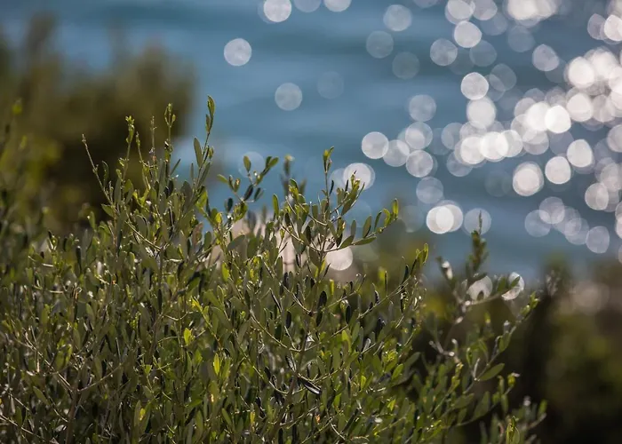 La Sterlizia Di Santa Croce Üdülőközpont